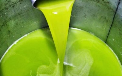 L’Olio “Valle del Belice” DOP