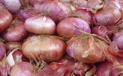 Cipolla rossa di Partanna