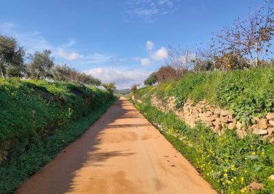 Ciclovia Belice 1017